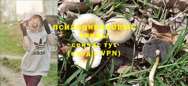 MDMA Медвежьегорск