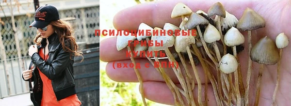 spice Мегион