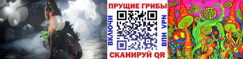 Галлюциногенные грибы MAGIC MUSHROOMS  Купить где  Новоалександровск 